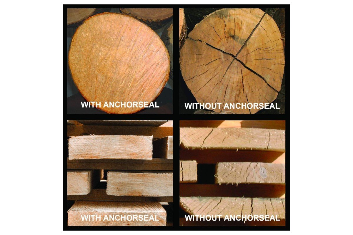 Anchorseal comparison of sealed and unsealed log ends and boards