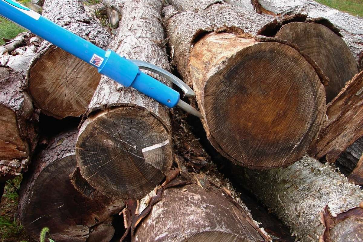 LogRite peavey resting on a stack of cut logs