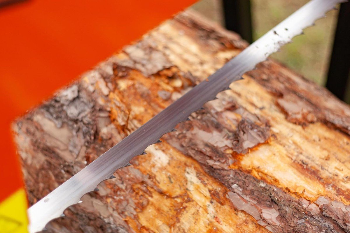 Close-up of a Wood-Mizer LX50 band blade running along a log